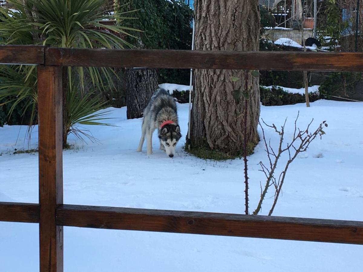13 Via Pavone Villa Zafferana Etnea Dış mekan fotoğraf